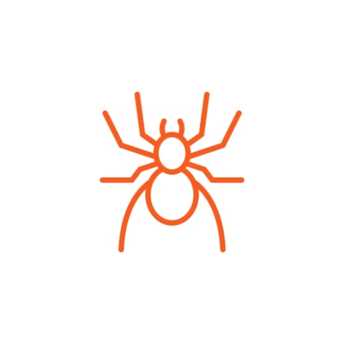 Spider Control - Pest Control Services